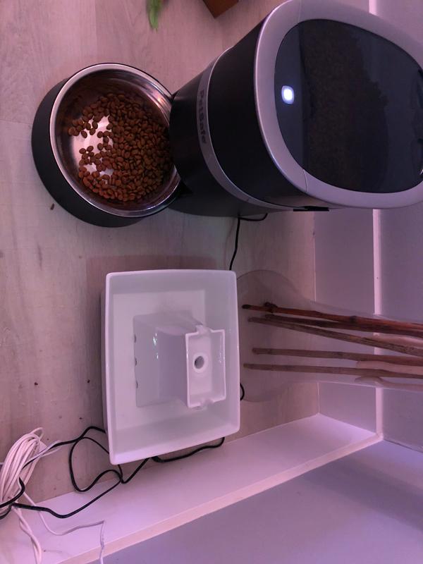 PetSafe Drinkwell Zen Stainless Steel Pet Fountain 128 oz