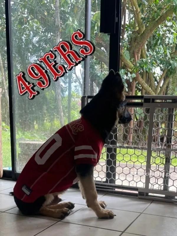 San Francisco 49ers Pet Jersey – 3 Red Rovers