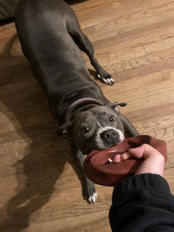 Tug is great, just watch your fingers!