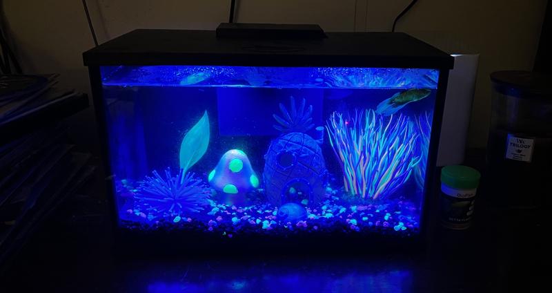 Tank with heater
