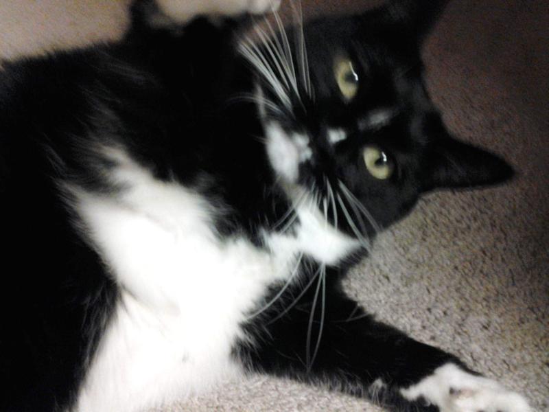 Samantha