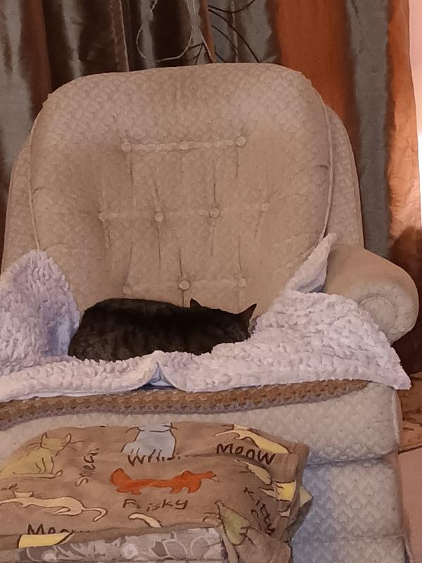 Lucas