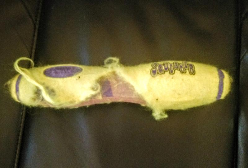 toy