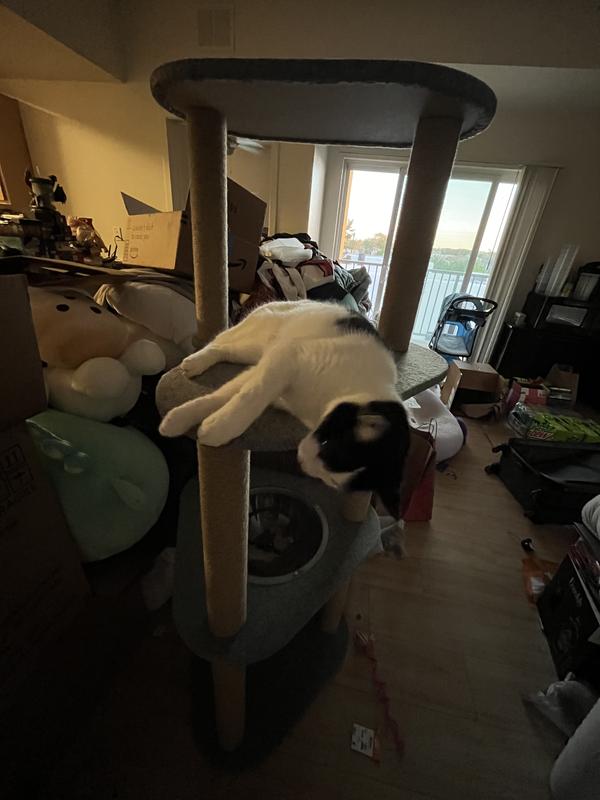 Comfy lounging amongst the mess