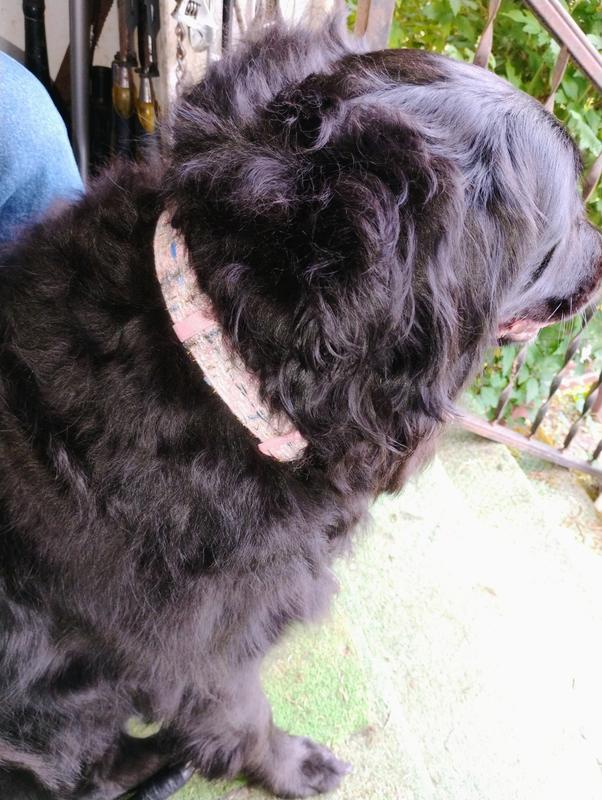 Pink Boucle Collar