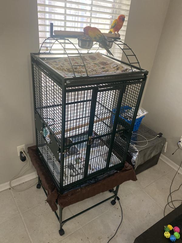 A E 24 x22 Green Play Top Bird Cage for Cockatiels from Petco