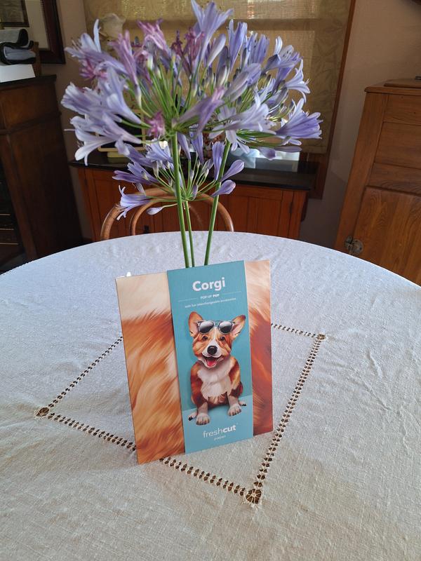Great greeting card with so many accessories!