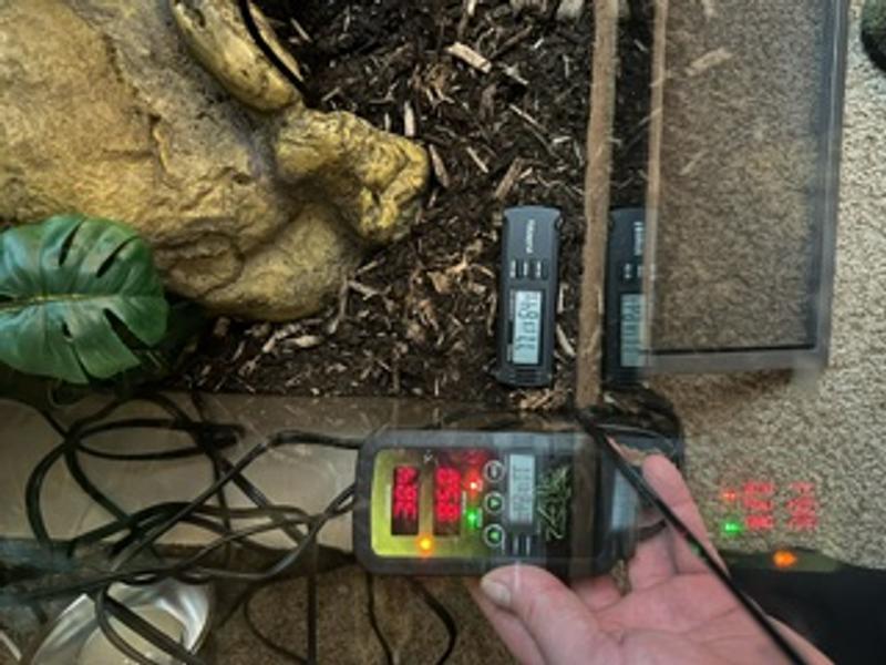 Zilla Digital Temperature Controller 1000 Watts Petco