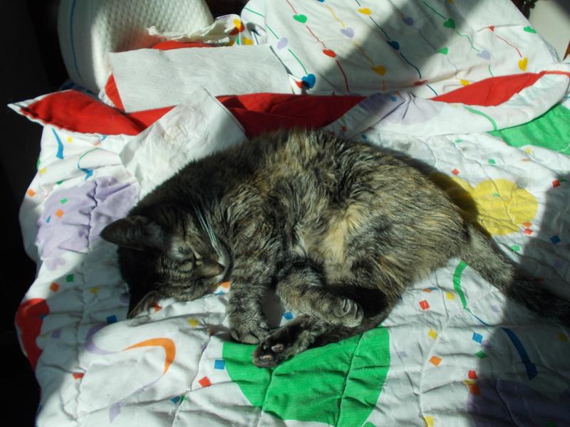 Squeakie