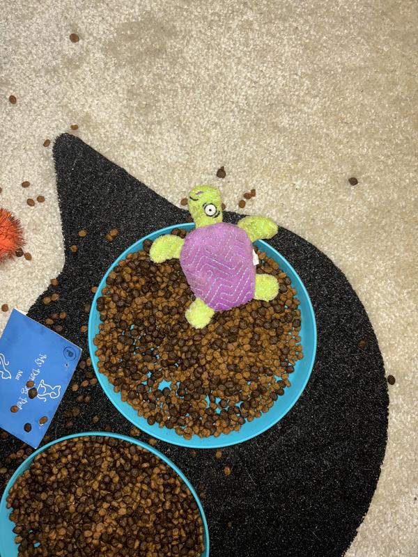 food guardian!