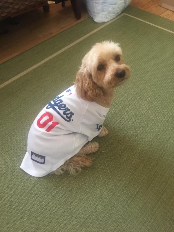 dog dodgers jersey