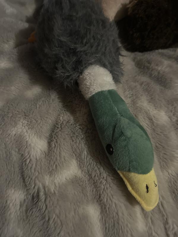Soft squeaky toy for small dogs or puppies