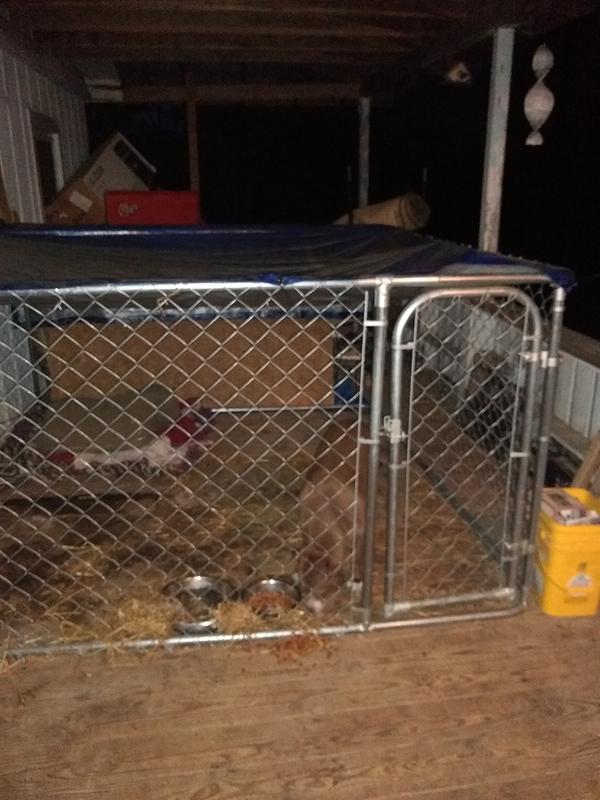 fencemaster kennel