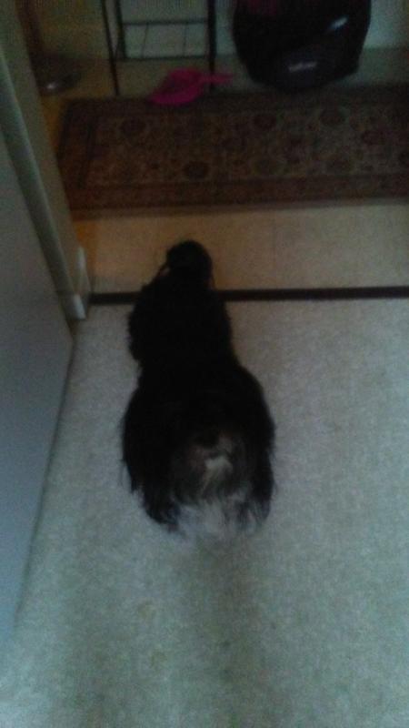 Waiting for her Instinct Toppers