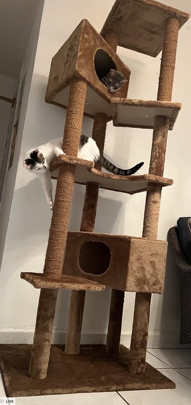 EveryYay Essentials Brown Lookout Large Cat Loft 8 Level Cat Tree