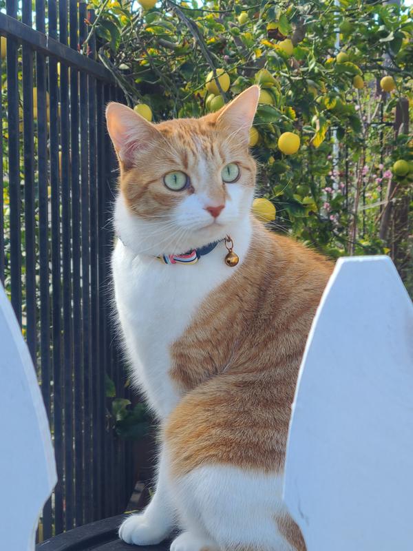 He's looking very guapo here!
