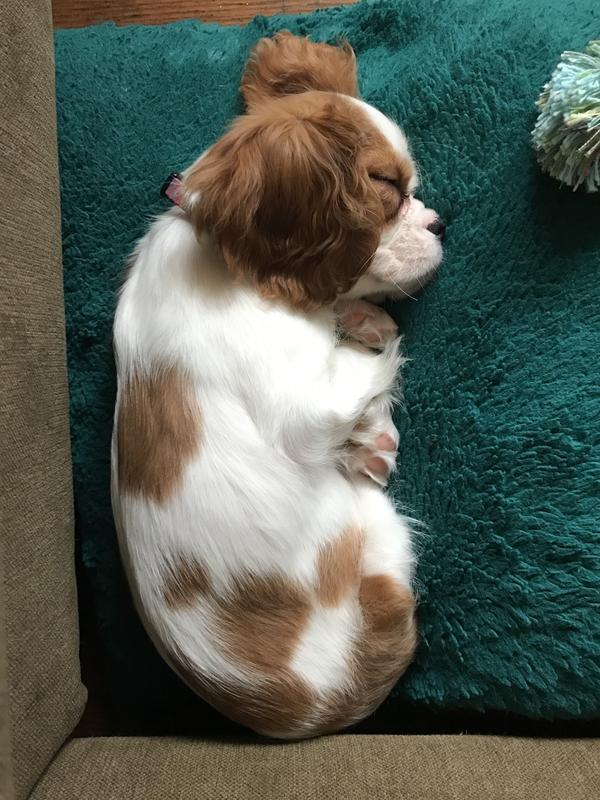 Sleeping fit baby just for fun
