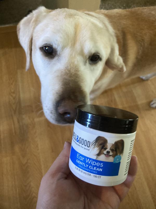 Ear wipes container