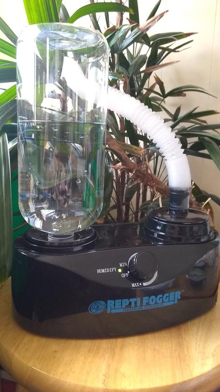 Repti fogger petco top