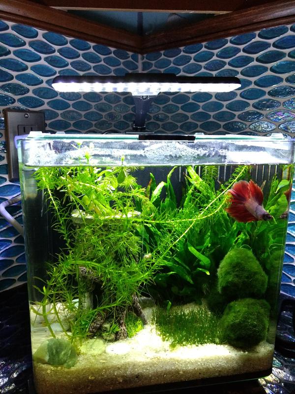 imagitarium 3.7 gallon filters