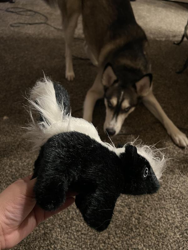 Interactive Dog Toys, Blossom the Skunk