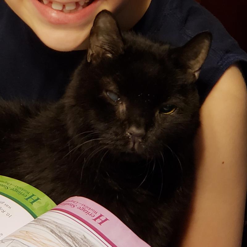 Old Man Zuzzie Cole helping with school work