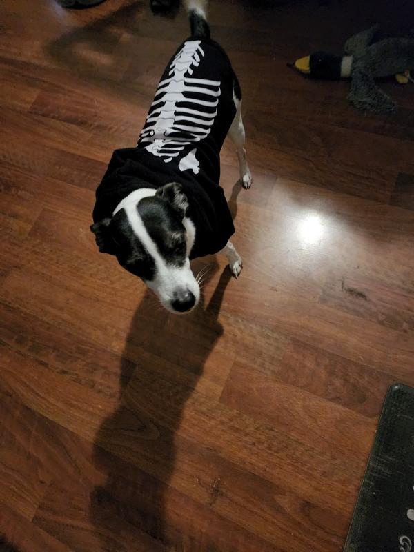 Bootique Skeleton Hoodie for Dogs, XX-Small | Petco