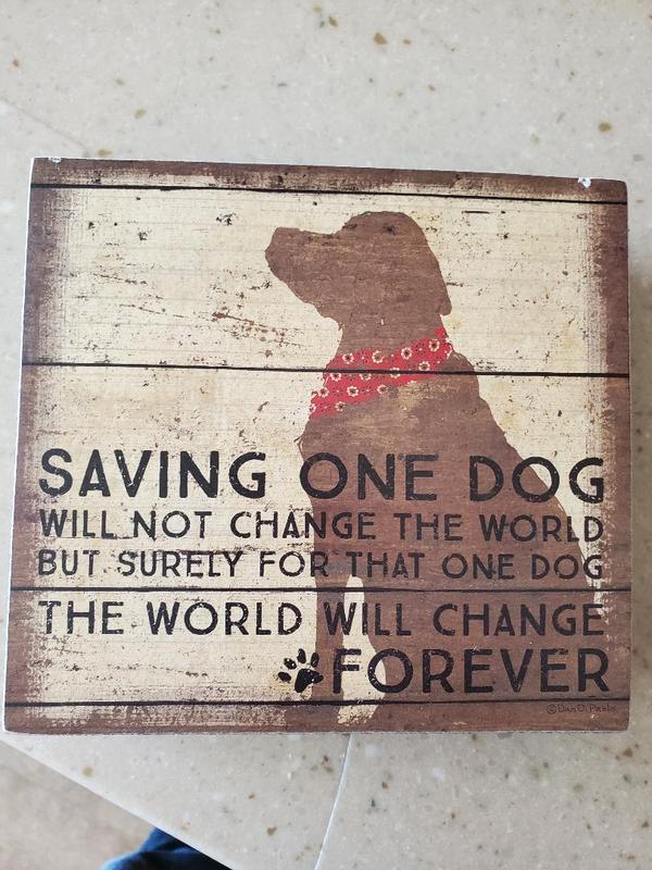 Well & Good Tearless Puppy Shampoo, 16 fl. oz. Petco