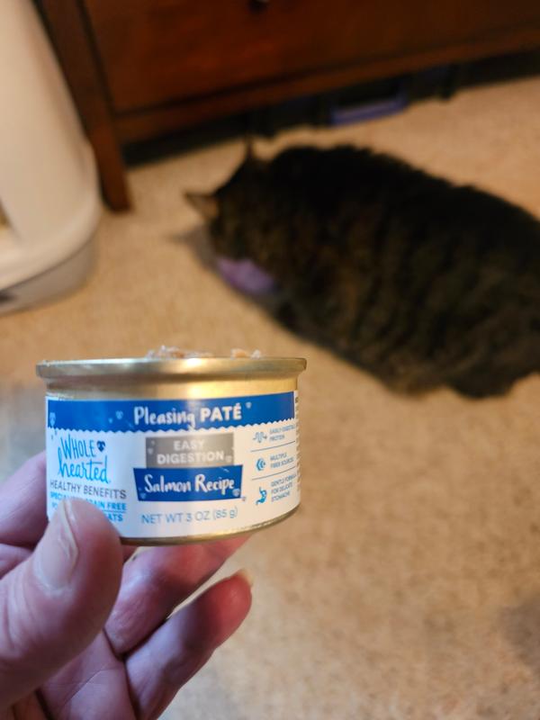 Wholehearted easy digestion outlet cat food