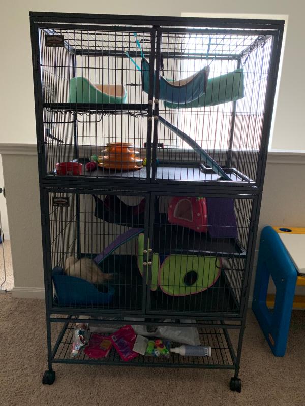 two story ferret cage