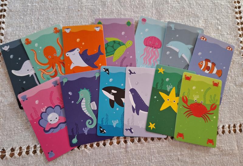 13 Colorful Sea Creatures