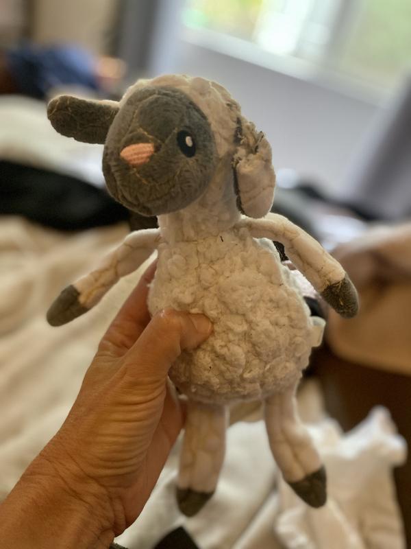 PET 7cm×5m 100cm/loop 藏雪谣 Leaps & Bounds Tough Sheep Dog Toy | Petco