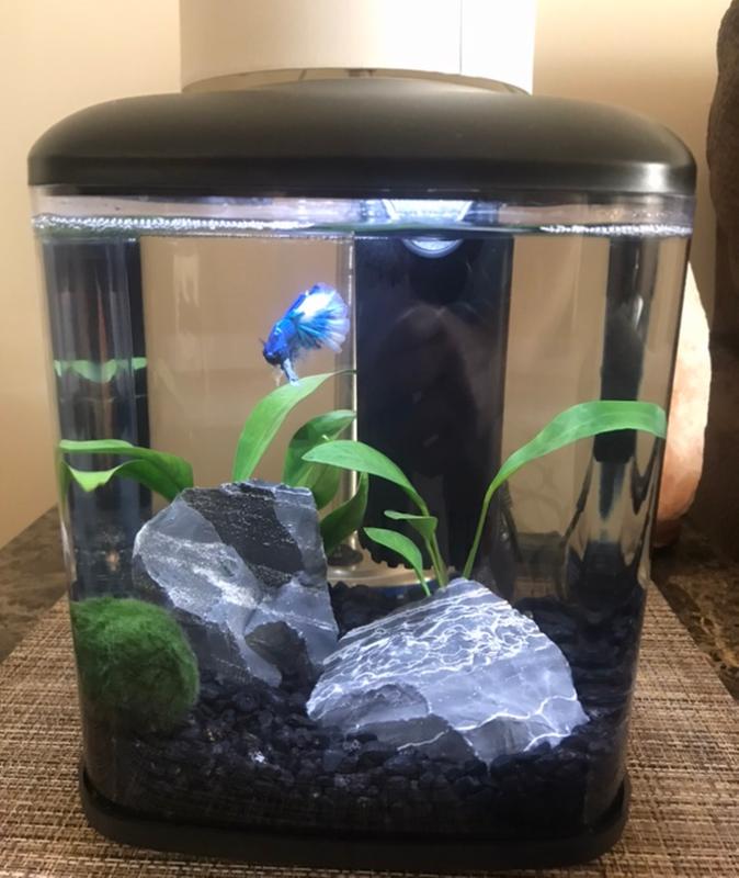 aqueon led mini cube 1.6