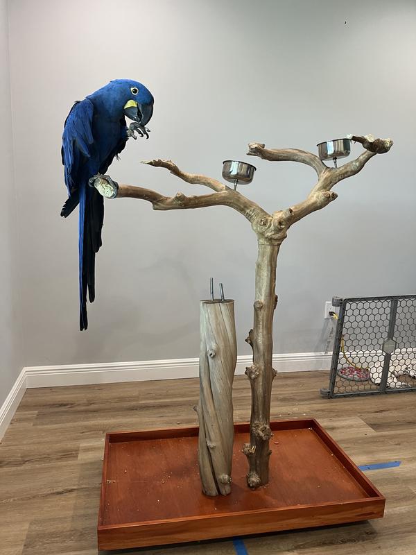 Note sizes of trunks…the branches were twice the size as well.  wish I still had them for reference. I gave it one star because the item is actually wood.