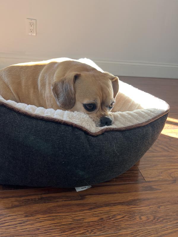 Dog bed next day delivery sale