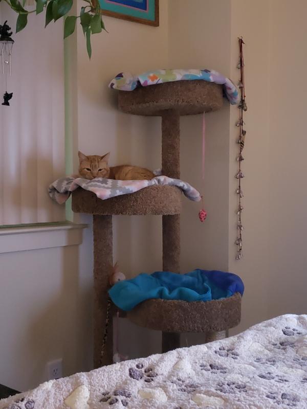 New Cat Condos 4 Level Solid Wood Brown Cat Playground, Brown, Cat ...