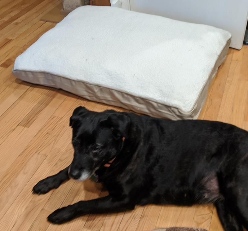 Photo - commentaire&nbsp;3.