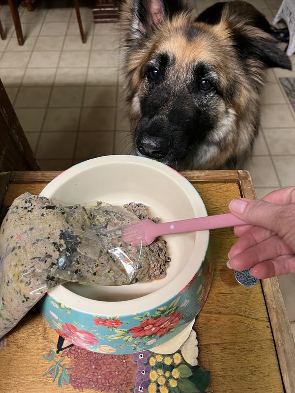 EveryYay Pink DualPurpose Dog Food Spatula & Can Opener