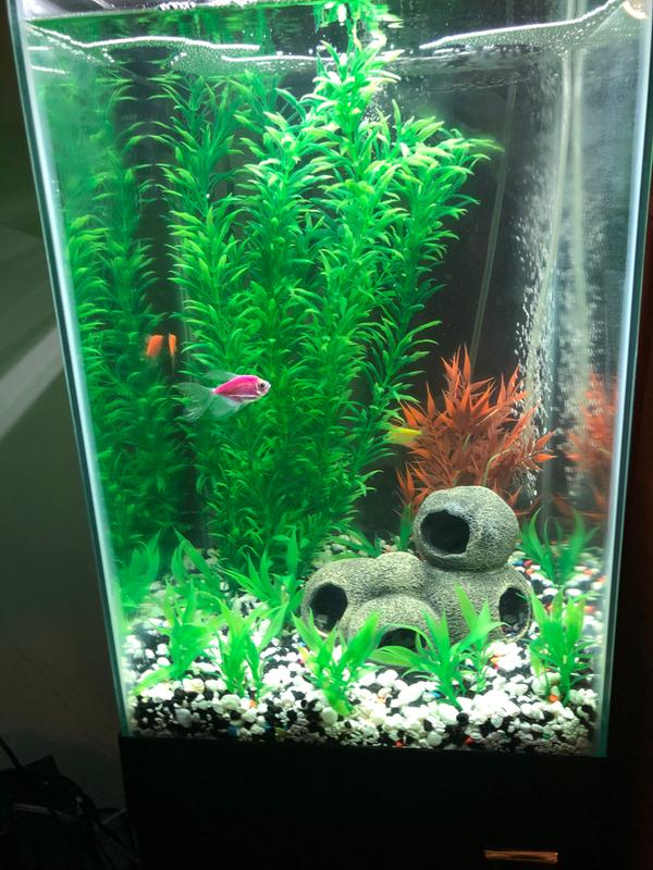 aqueon 15 gallon column