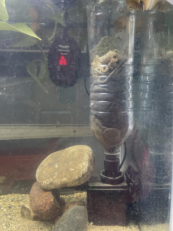 Using the powerhead in a hand built skimmer filter