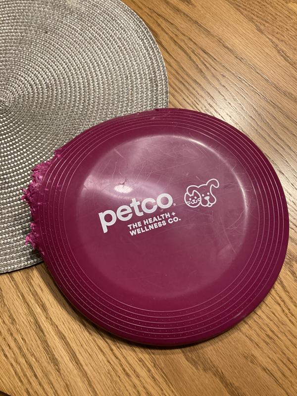 Petco Frisbee de Colores, 22.8 cm