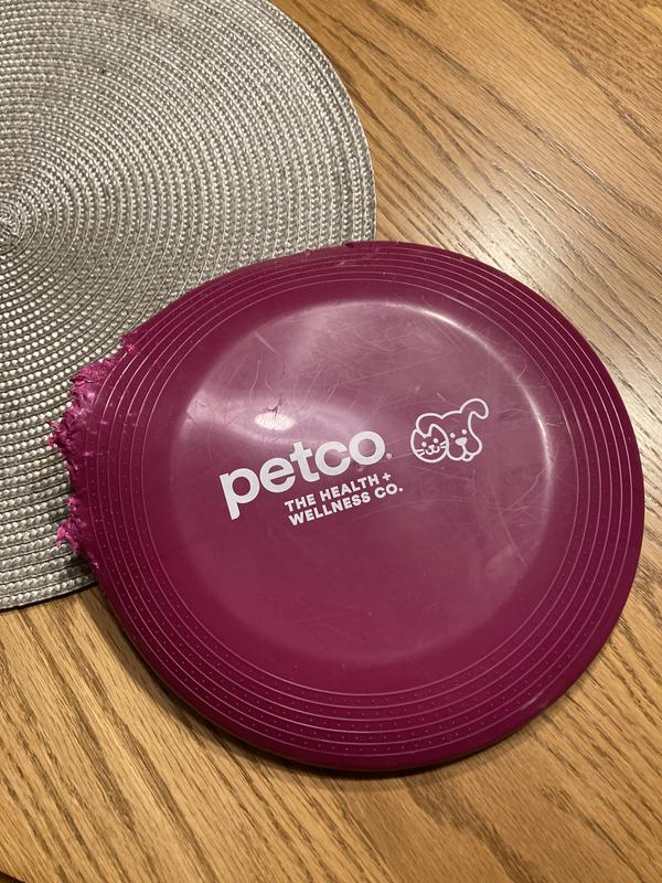 Kong frisbee outlet petco