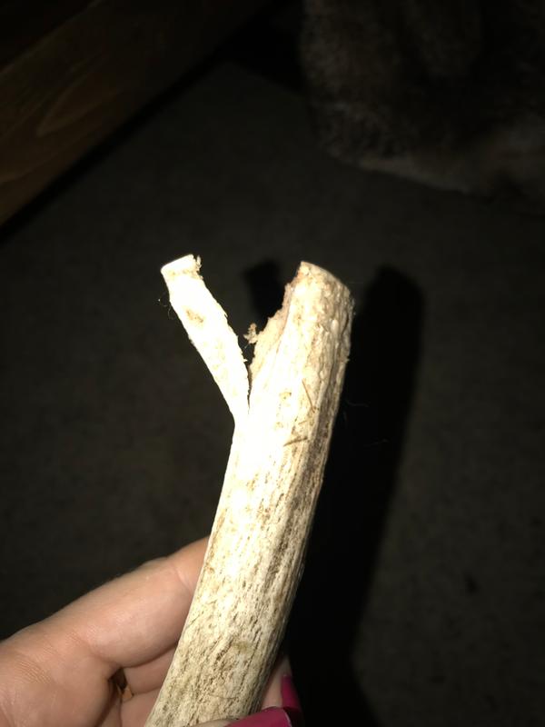 Splintering in under an hour