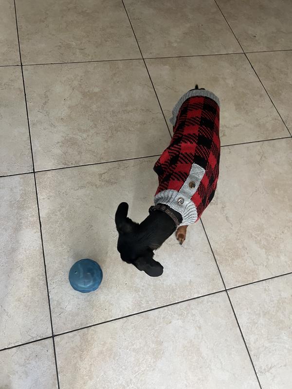 She loves it!