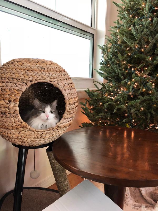 Sauder natural sphere outlet cat tower