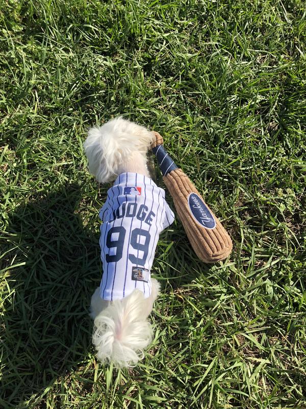 MLBPA Dog Jersey - Aaron Judge #99 Pet Jersey - MLB New York Yankees Mesh  Jersey, X-Small