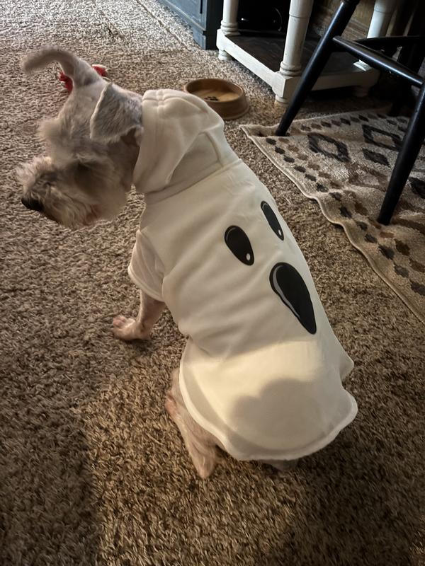Medium Size Dog