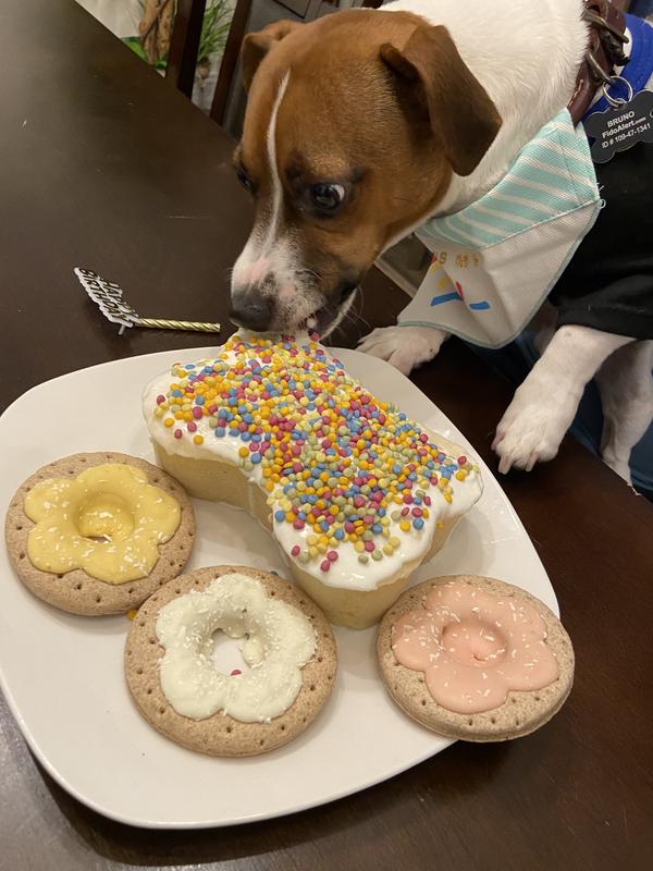 Petco dog outlet cake