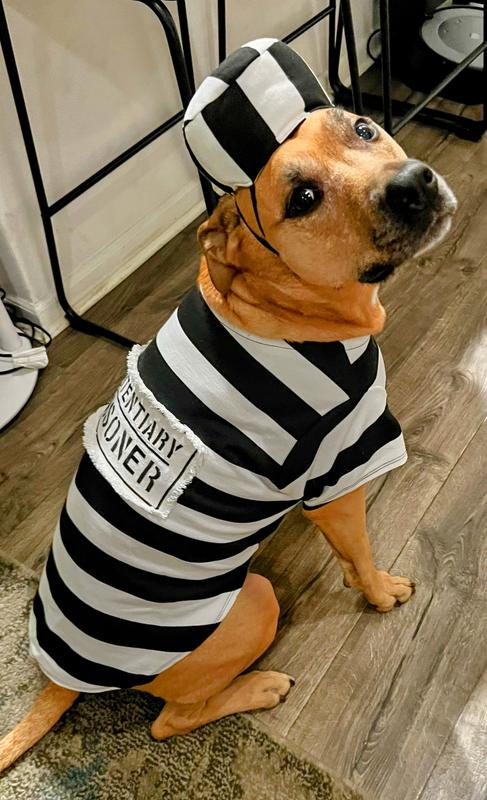 Dog prisoner costume xxl best sale