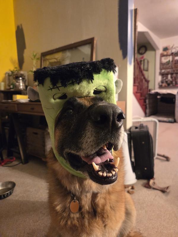 Frankenbeanie